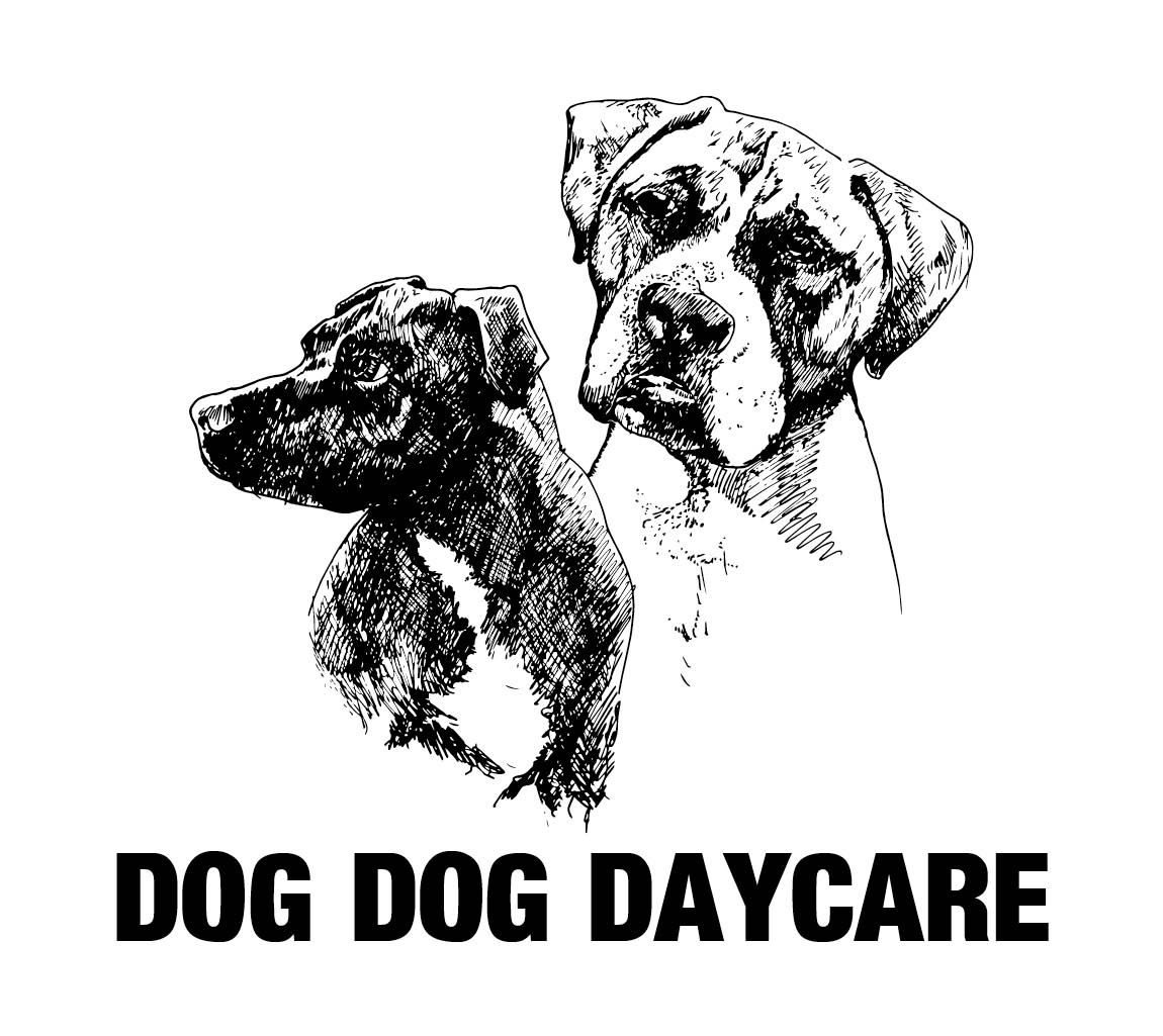 Dog Dog Daycare