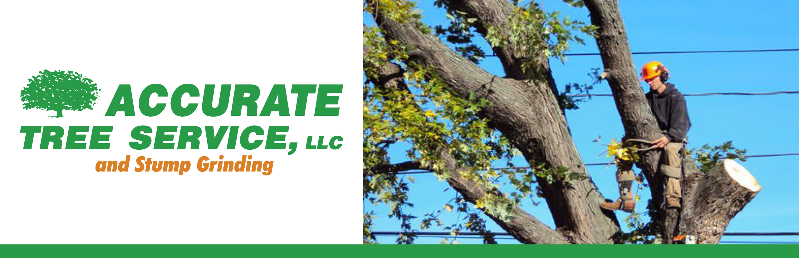 Advantage-Website-Header-New-Logo