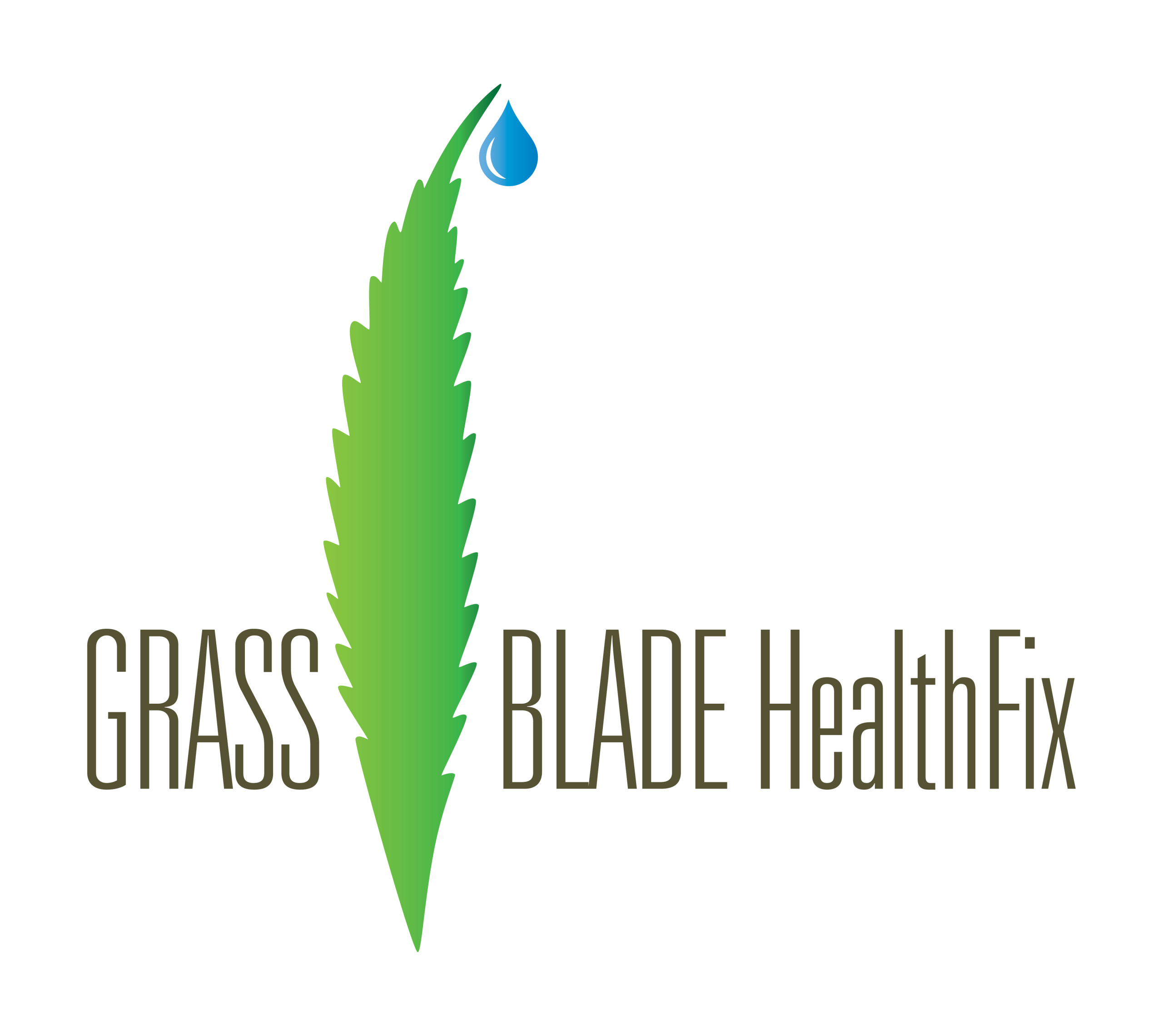 GrassBlade Health Fix
